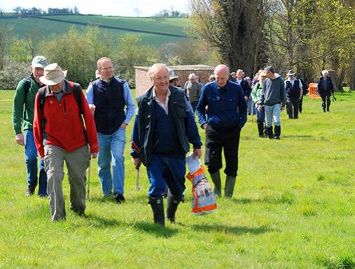 Park walks at Westcott